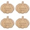 Pumpkin Spice Coaster Set