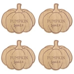 Pumpkin Spice Coaster Set